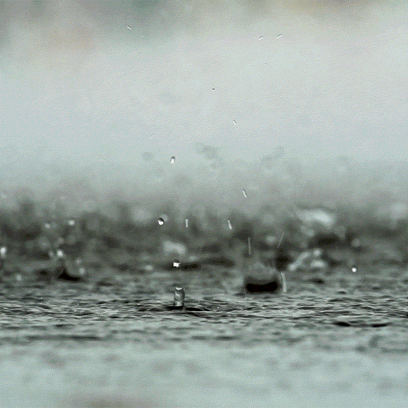 rain drops